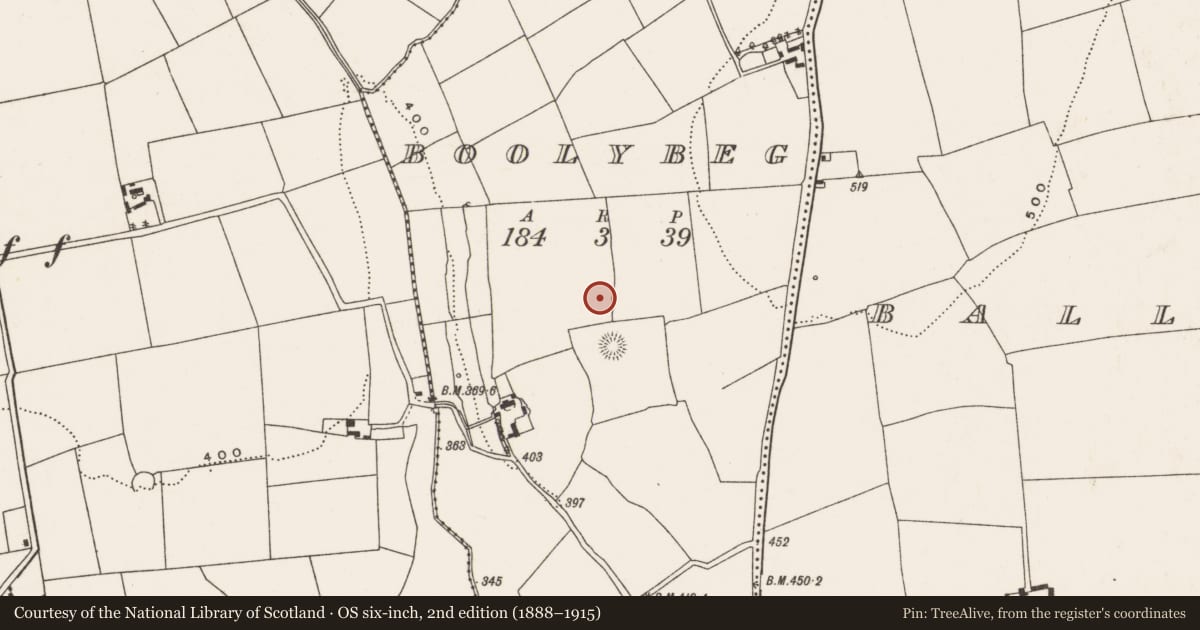 Ordnance Survey six-inch map, 2nd edition (1888–1915) covering the location of Ringfort - rath, Boolybeg, County Cork, with a pin at the register's coordinates