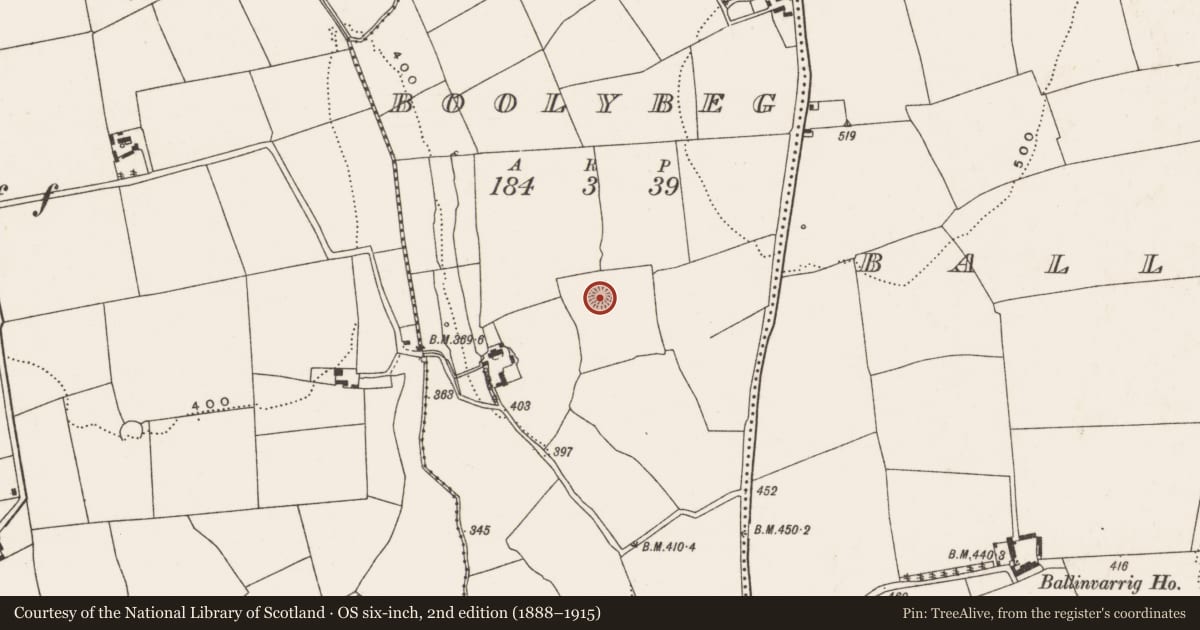 Ordnance Survey six-inch map, 2nd edition (1888–1915) covering the location of Ringfort - rath, Boolybeg, County Cork, with a pin at the register's coordinates
