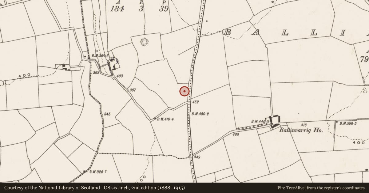 Ordnance Survey six-inch map, 2nd edition (1888–1915) covering the location of Ringfort - rath, Boolybeg, County Cork, with a pin at the register's coordinates