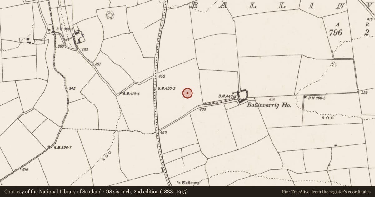 Ordnance Survey six-inch map, 2nd edition (1888–1915) covering the location of Standing stone, Ballinvarrig, County Cork, with a pin at the register's coordinates