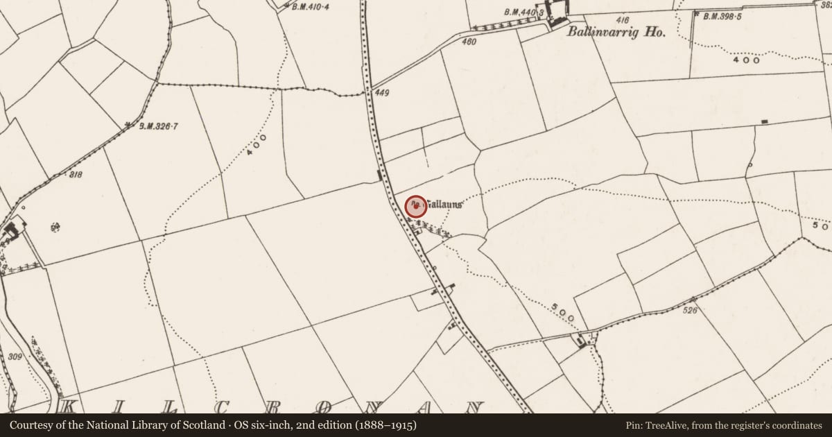Ordnance Survey six-inch map, 2nd edition (1888–1915) covering the location of Standing stone - pair, Ballinvarrig, County Cork, with a pin at the register's coordinates