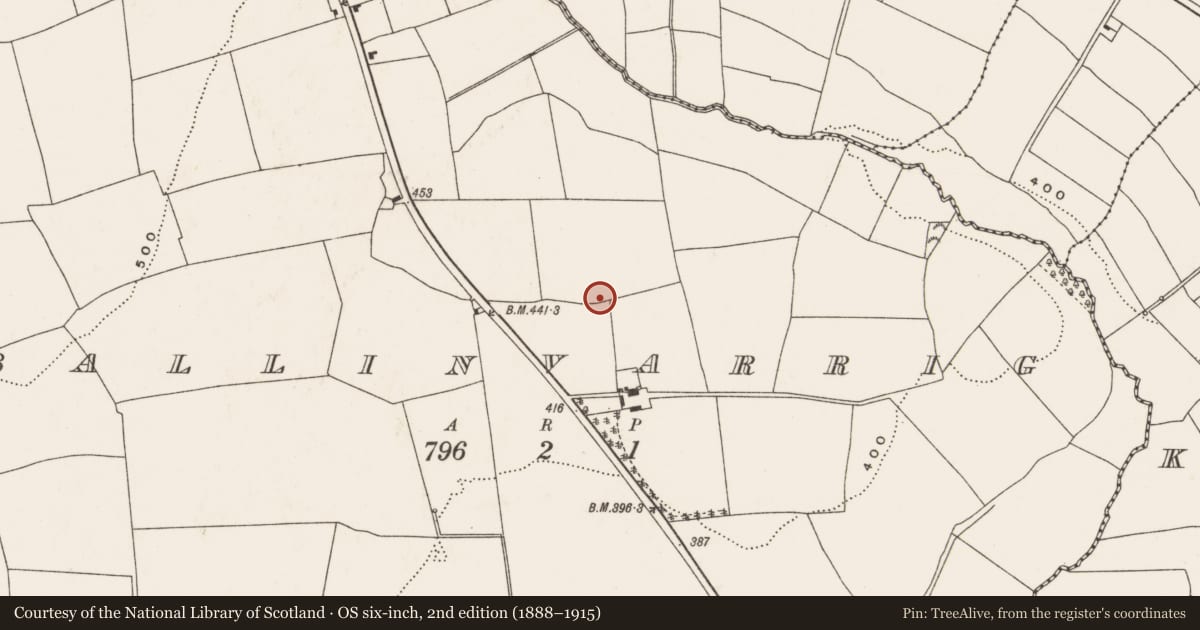Ordnance Survey six-inch map, 2nd edition (1888–1915) covering the location of Ringfort - rath, Ballinvarrig, County Cork, with a pin at the register's coordinates