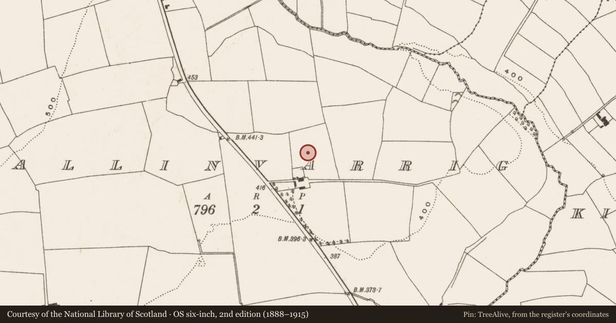 Ordnance Survey six-inch map, 2nd edition (1888–1915) covering the location of Standing stone, Ballinvarrig, County Cork, with a pin at the register's coordinates