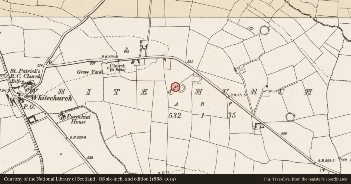 Ordnance Survey six-inch map, 2nd edition (1888–1915) covering the location of Ringfort - rath, Whitechurch, County Cork, with a pin at the register's coordinates