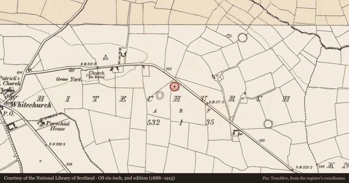 Ordnance Survey six-inch map, 2nd edition (1888–1915) covering the location of Moated site, Whitechurch, County Cork, with a pin at the register's coordinates