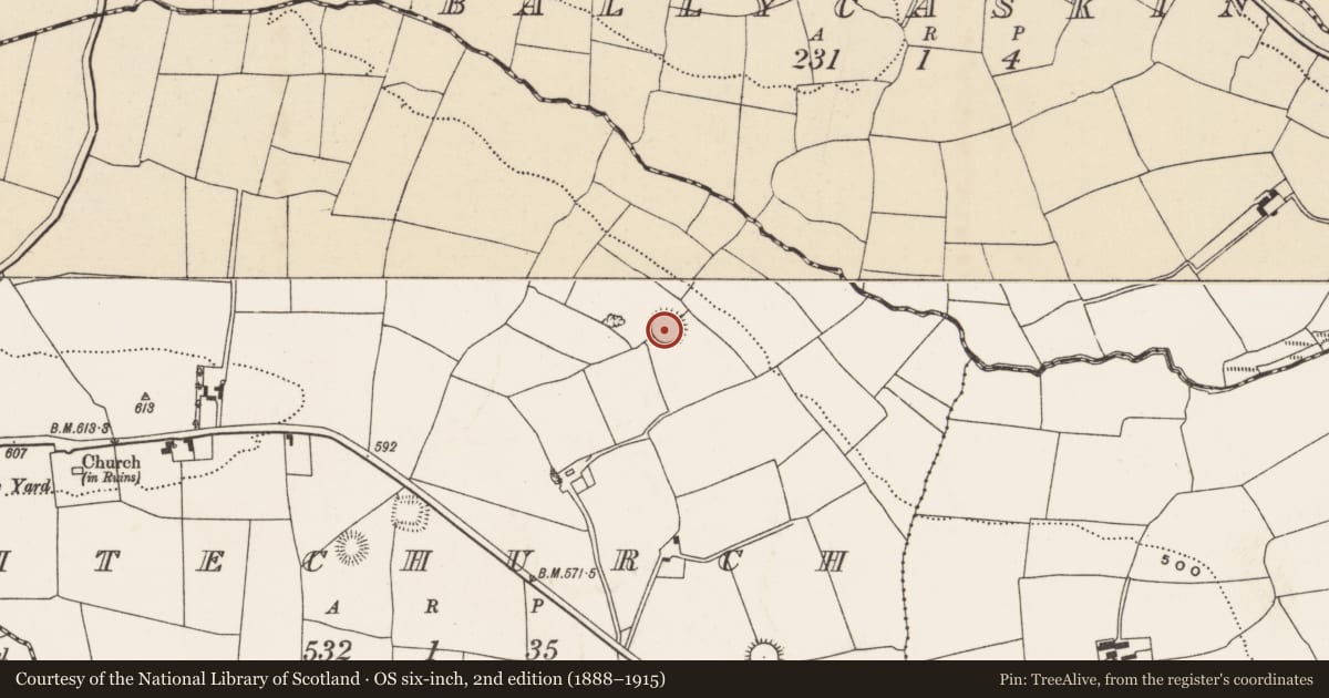 Ordnance Survey six-inch map, 2nd edition (1888–1915) covering the location of Ringfort - rath, Whitechurch, County Cork, with a pin at the register's coordinates
