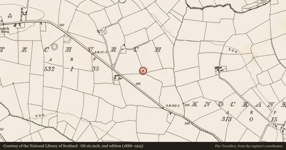 Ordnance Survey six-inch map, 2nd edition (1888–1915) covering the location of Ringfort - rath, Whitechurch, County Cork, with a pin at the register's coordinates