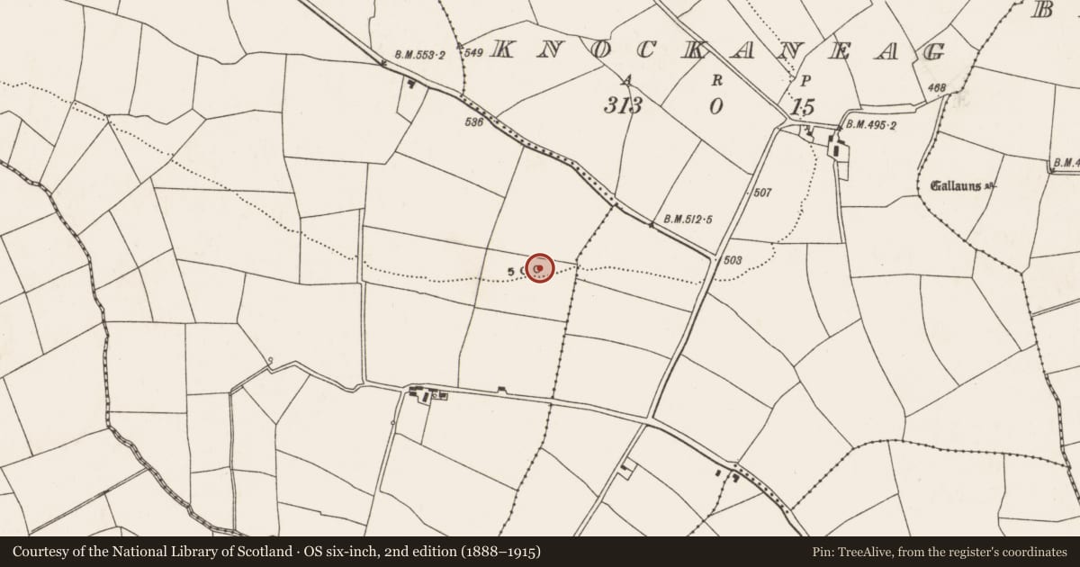 Ordnance Survey six-inch map, 2nd edition (1888–1915) covering the location of Ringfort - rath, Whitechurch, County Cork, with a pin at the register's coordinates