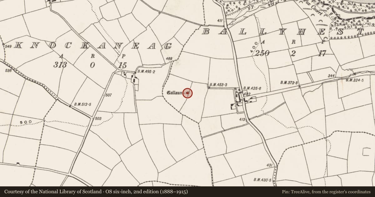 Ordnance Survey six-inch map, 2nd edition (1888–1915) covering the location of Standing stone - pair, Ballyhesty, County Cork, with a pin at the register's coordinates