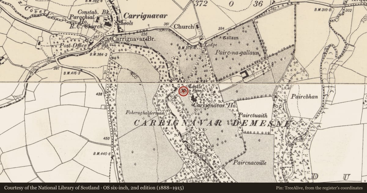 Ordnance Survey six-inch map, 2nd edition (1888–1915) covering the location of Castle - tower house, Carrignavar, County Cork, with a pin at the register's coordinates