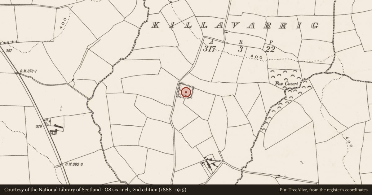 Ordnance Survey six-inch map, 2nd edition (1888–1915) covering the location of Moated site, Killavarrig, County Cork, with a pin at the register's coordinates