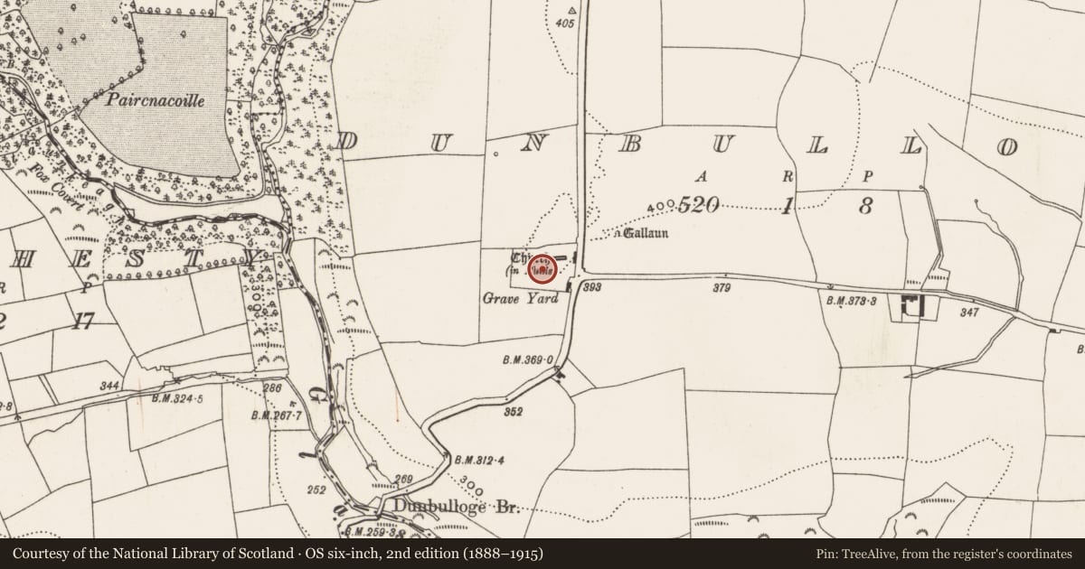 Ordnance Survey six-inch map, 2nd edition (1888–1915) covering the location of Graveyard, Dunbulloge, County Cork, with a pin at the register's coordinates