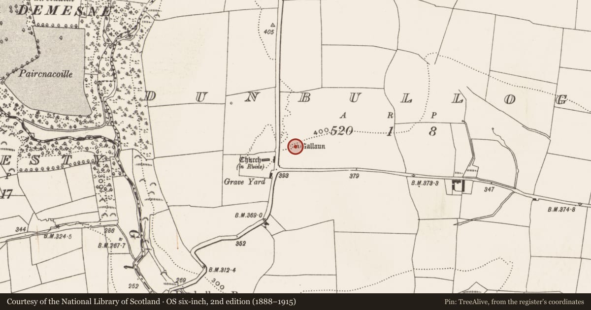 Ordnance Survey six-inch map, 2nd edition (1888–1915) covering the location of Ogham stone, Dunbulloge, County Cork, with a pin at the register's coordinates