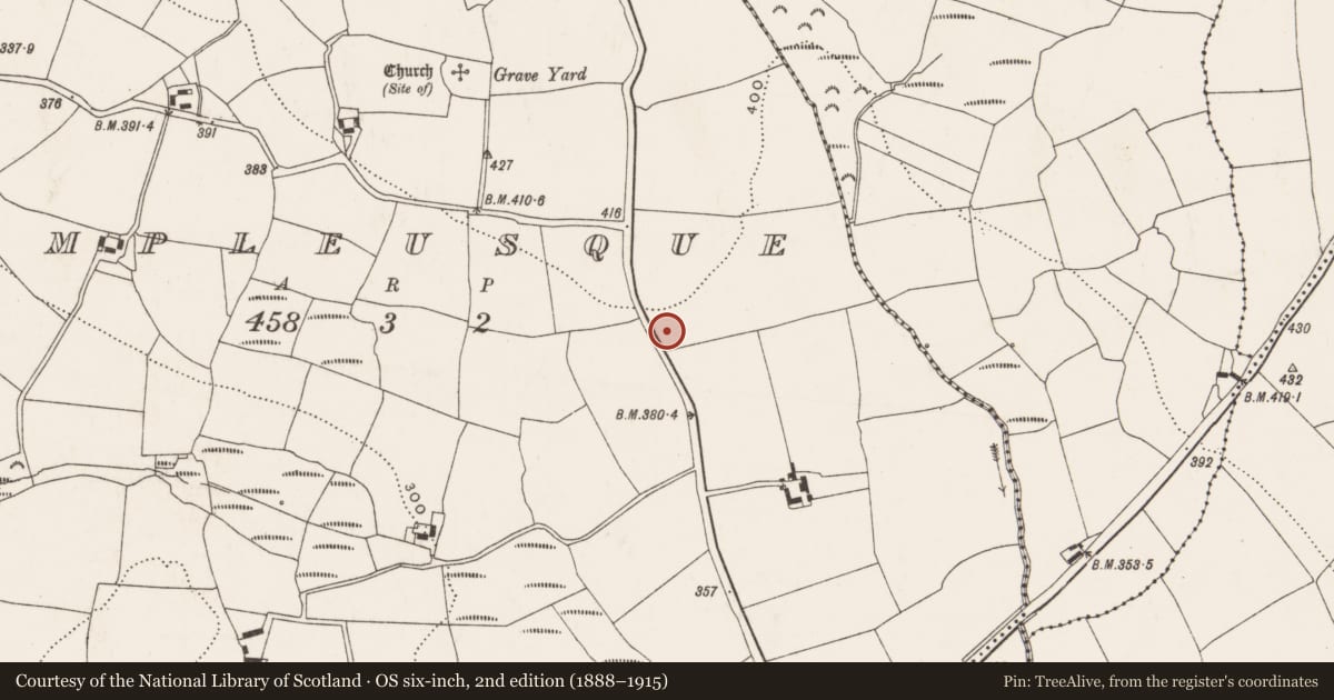 Ordnance Survey six-inch map, 2nd edition (1888–1915) covering the location of Ringfort - rath, Templeusque, County Cork, with a pin at the register's coordinates
