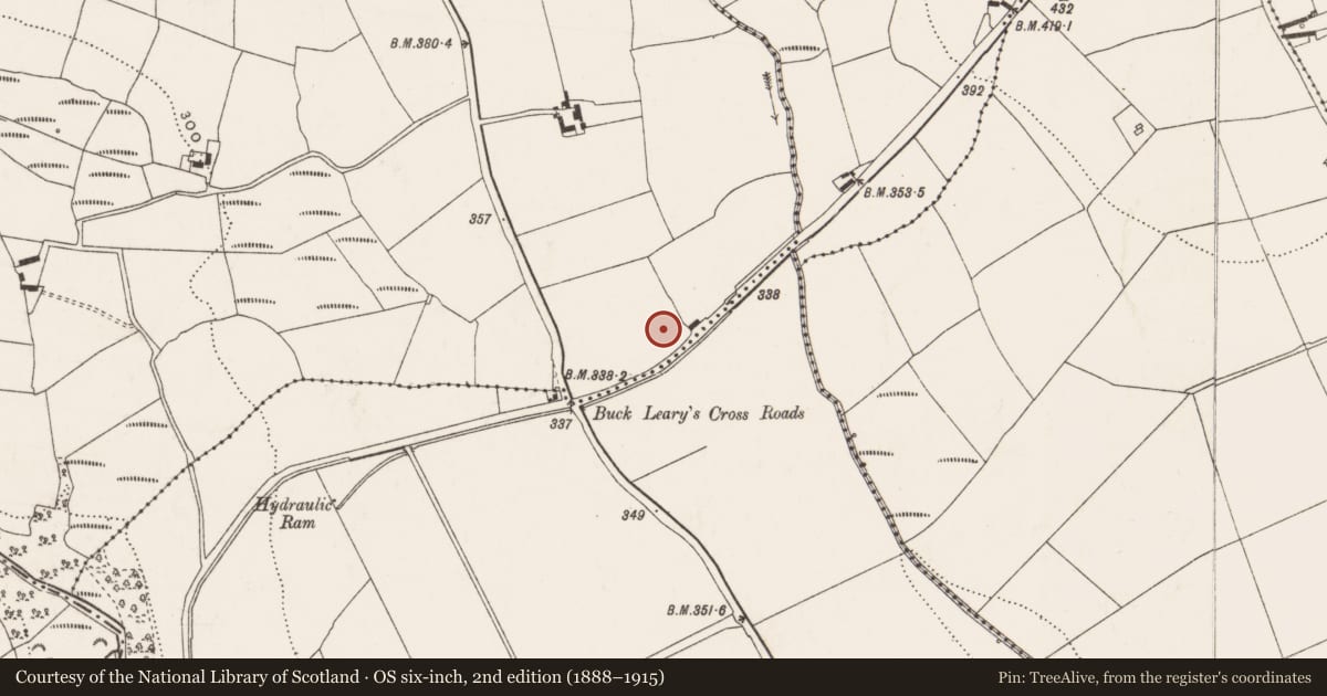Ordnance Survey six-inch map, 2nd edition (1888–1915) covering the location of Ringfort - rath, Templeusque, County Cork, with a pin at the register's coordinates