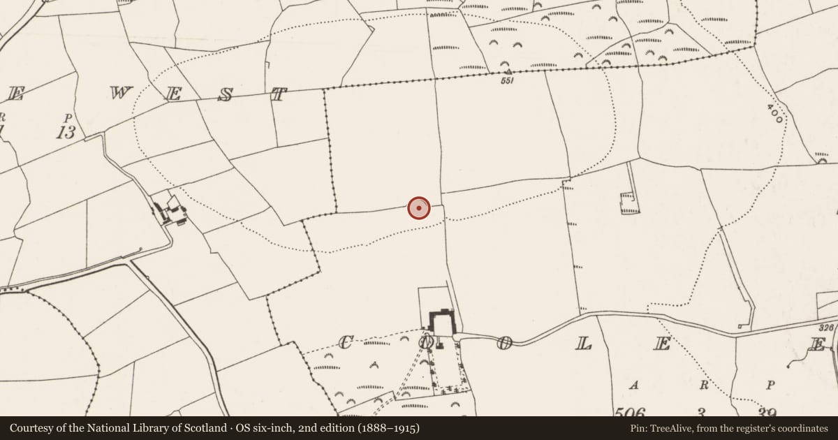 Ordnance Survey six-inch map, 2nd edition (1888–1915) covering the location of Ringfort - rath, Coole East, County Cork, with a pin at the register's coordinates
