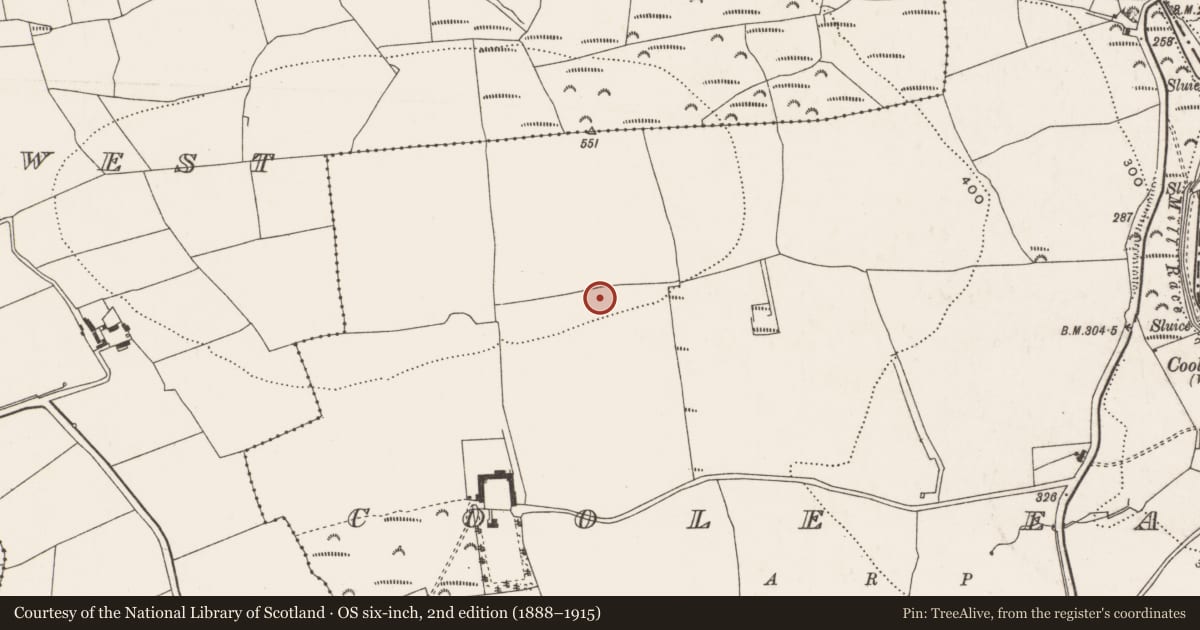 Ordnance Survey six-inch map, 2nd edition (1888–1915) covering the location of Ringfort - rath, Coole East, County Cork, with a pin at the register's coordinates