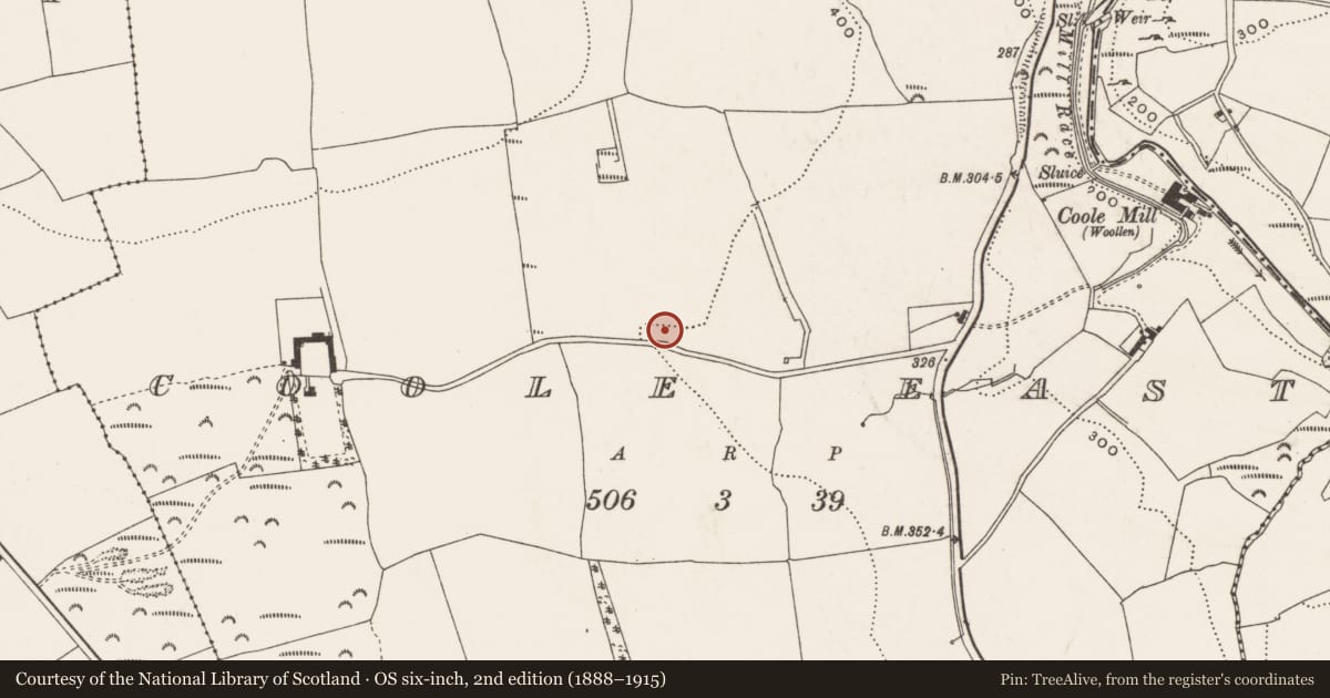 Ordnance Survey six-inch map, 2nd edition (1888–1915) covering the location of Ringfort - rath, Coole East, County Cork, with a pin at the register's coordinates