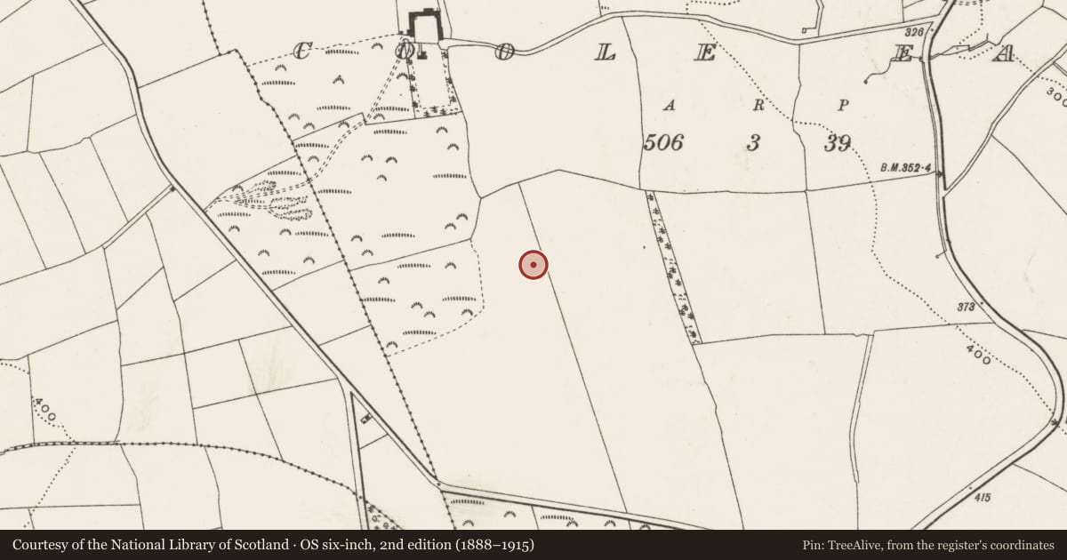 Ordnance Survey six-inch map, 2nd edition (1888–1915) covering the location of Ringfort - rath, Coole East, County Cork, with a pin at the register's coordinates