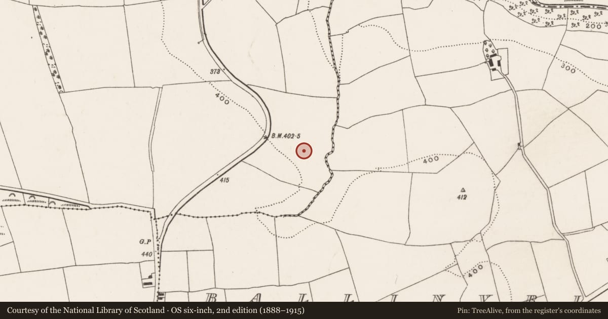 Ordnance Survey six-inch map, 2nd edition (1888–1915) covering the location of Ringfort - rath, Coole East, County Cork, with a pin at the register's coordinates
