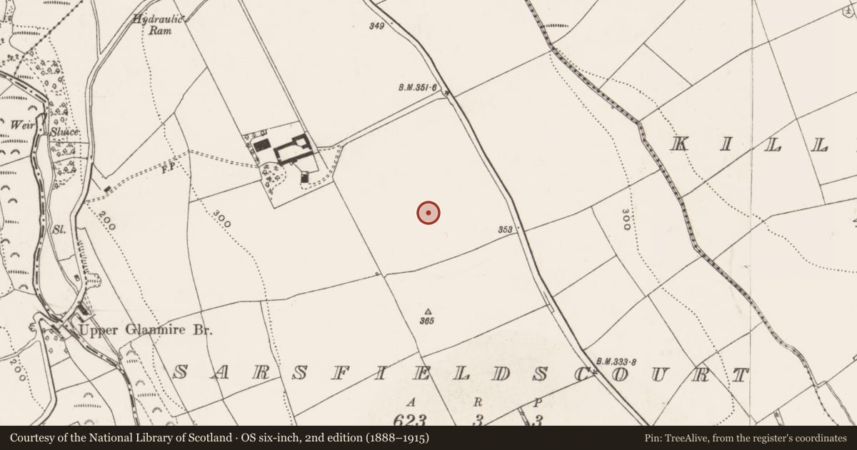 Ordnance Survey six-inch map, 2nd edition (1888–1915) covering the location of Standing stone, Sarsfieldscourt, County Cork, with a pin at the register's coordinates