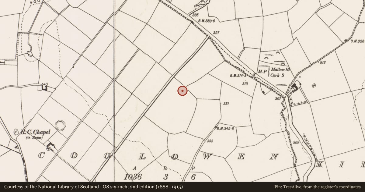 Ordnance Survey six-inch map, 2nd edition (1888–1915) covering the location of Ringfort - rath, Coolowen, County Cork, with a pin at the register's coordinates
