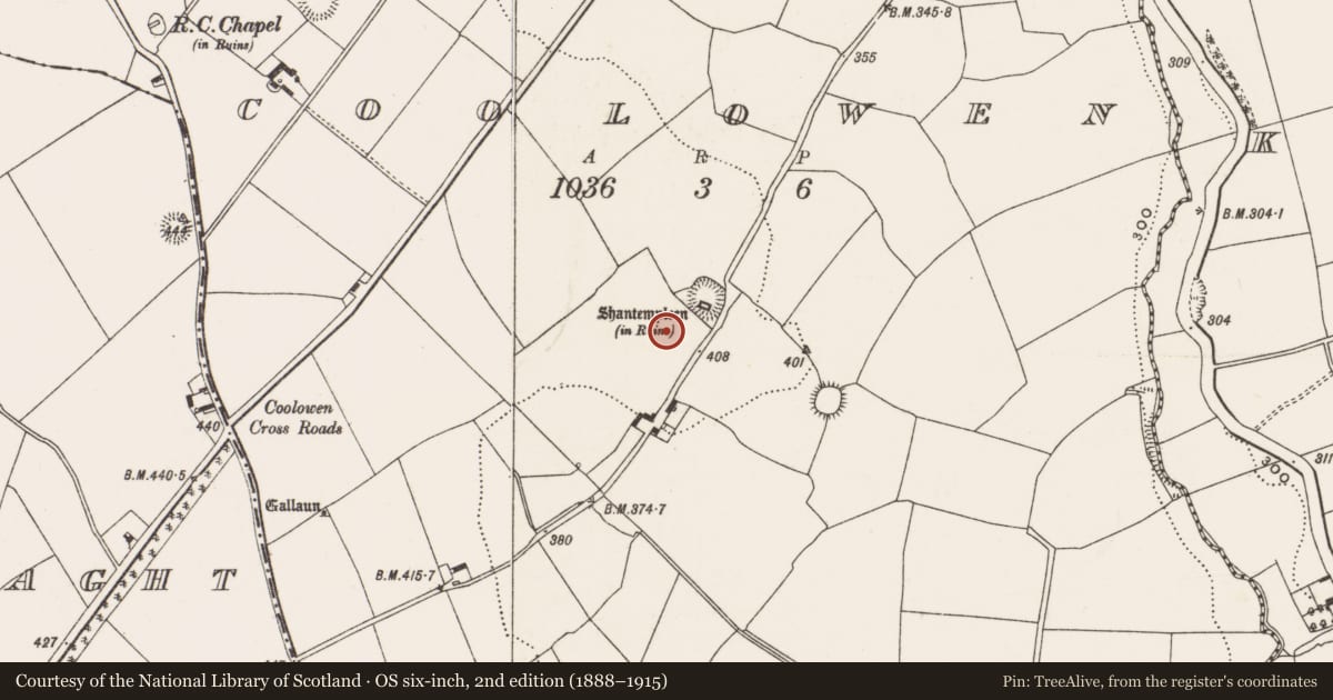 Ordnance Survey six-inch map, 2nd edition (1888–1915) covering the location of Enclosure, Coolowen, County Cork, with a pin at the register's coordinates