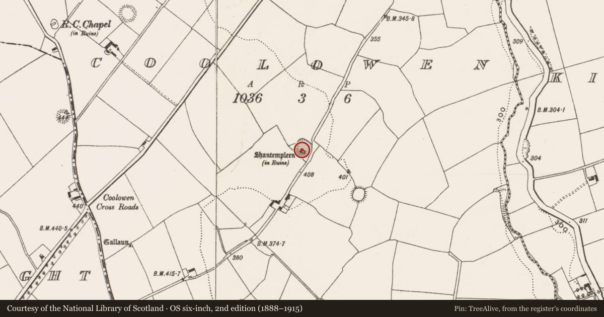 Ordnance Survey six-inch map, 2nd edition (1888–1915) covering the location of Ringfort - rath, Coolowen, County Cork, with a pin at the register's coordinates