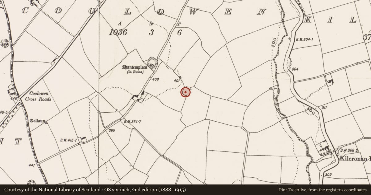 Ordnance Survey six-inch map, 2nd edition (1888–1915) covering the location of Ringfort - rath, Coolowen, County Cork, with a pin at the register's coordinates