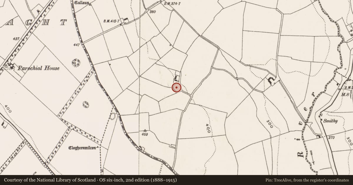 Ordnance Survey six-inch map, 2nd edition (1888–1915) covering the location of Ringfort - rath, Coolowen, County Cork, with a pin at the register's coordinates