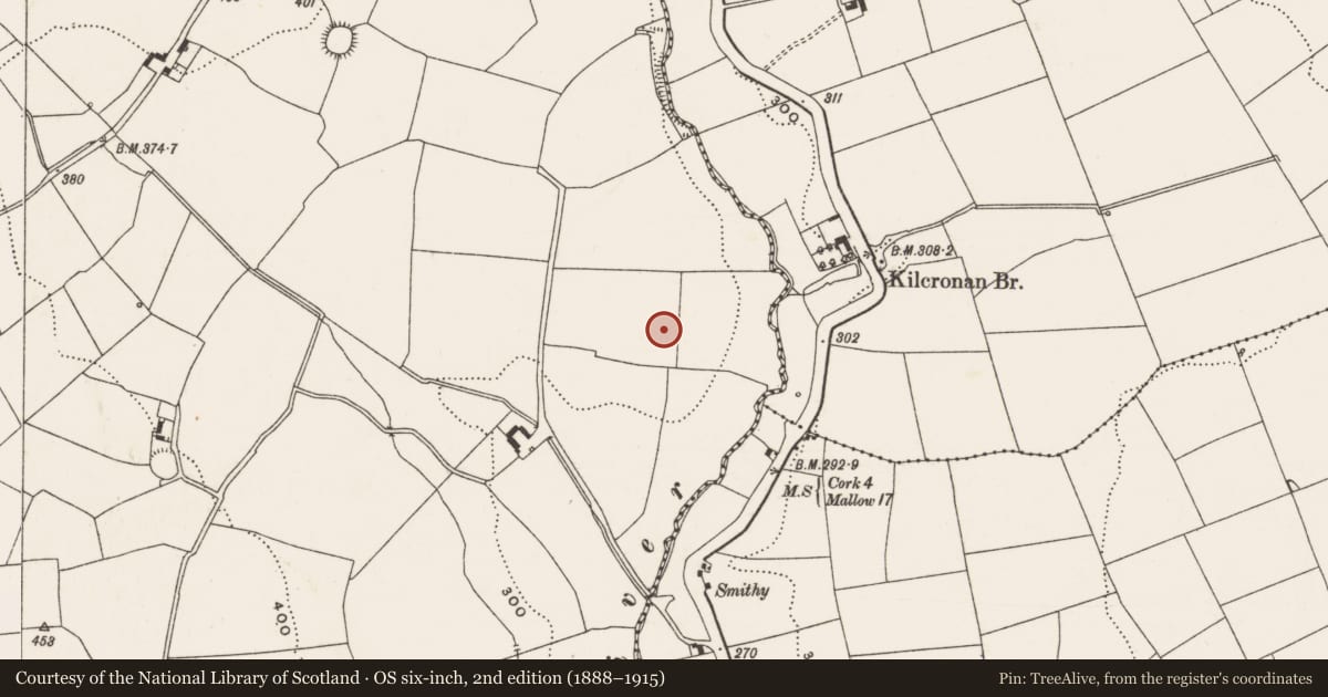 Ordnance Survey six-inch map, 2nd edition (1888–1915) covering the location of Standing stone, Coolowen, County Cork, with a pin at the register's coordinates