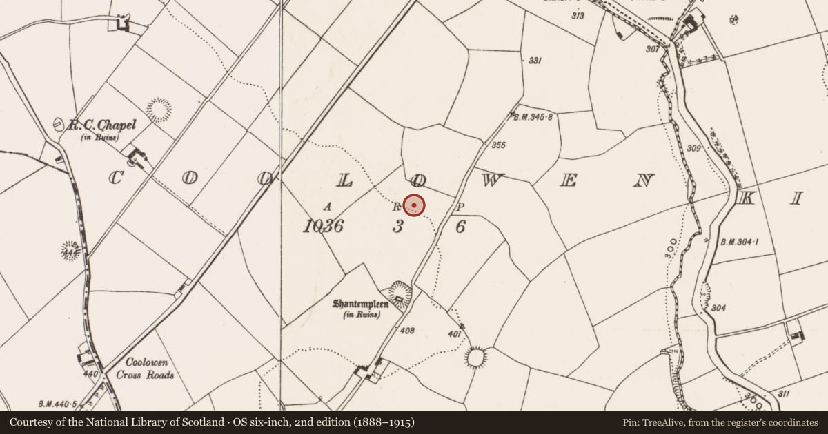 Ordnance Survey six-inch map, 2nd edition (1888–1915) covering the location of Standing stone, Coolowen, County Cork, with a pin at the register's coordinates