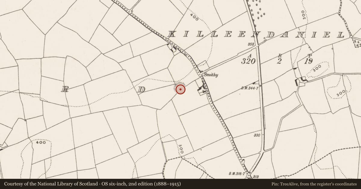 Ordnance Survey six-inch map, 2nd edition (1888–1915) covering the location of Ringfort - rath, Monard, County Cork, with a pin at the register's coordinates