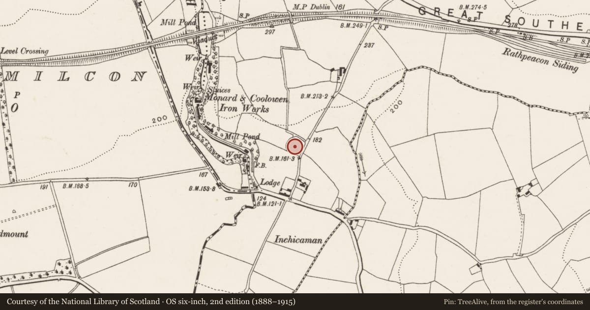 Ordnance Survey six-inch map, 2nd edition (1888–1915) covering the location of Ringfort - rath, Monard, County Cork, with a pin at the register's coordinates