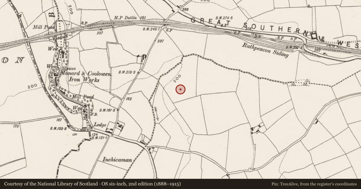 Ordnance Survey six-inch map, 2nd edition (1888–1915) covering the location of Standing stone, Rathpeacon, County Cork, with a pin at the register's coordinates
