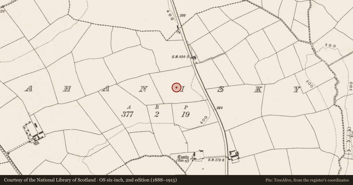 Ordnance Survey six-inch map, 2nd edition (1888–1915) covering the location of Standing stone, Rahanisky, County Cork, with a pin at the register's coordinates