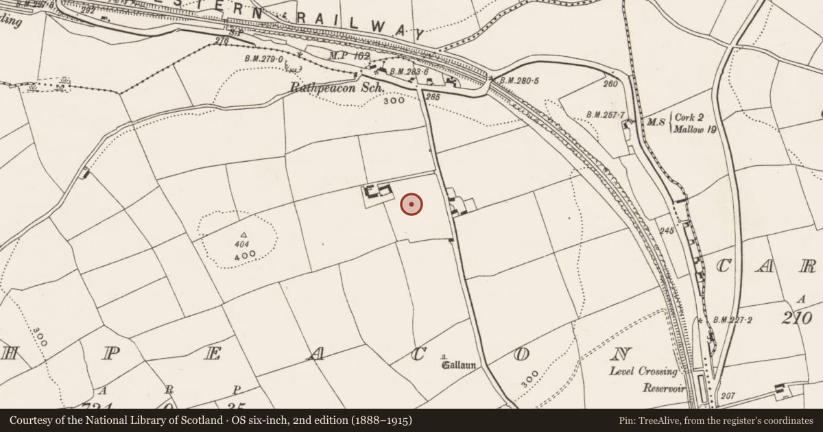 Ordnance Survey six-inch map, 2nd edition (1888–1915) covering the location of Standing stone, Rathpeacon, County Cork, with a pin at the register's coordinates