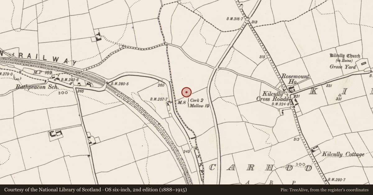Ordnance Survey six-inch map, 2nd edition (1888–1915) covering the location of Standing stone, Carhoo, County Cork, with a pin at the register's coordinates