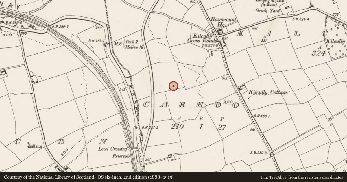 Ordnance Survey six-inch map, 2nd edition (1888–1915) covering the location of Standing stone, Carhoo, County Cork, with a pin at the register's coordinates