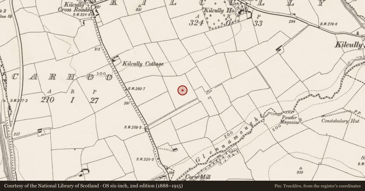 Ordnance Survey six-inch map, 2nd edition (1888–1915) covering the location of Standing stone, Kilcully, County Cork, with a pin at the register's coordinates