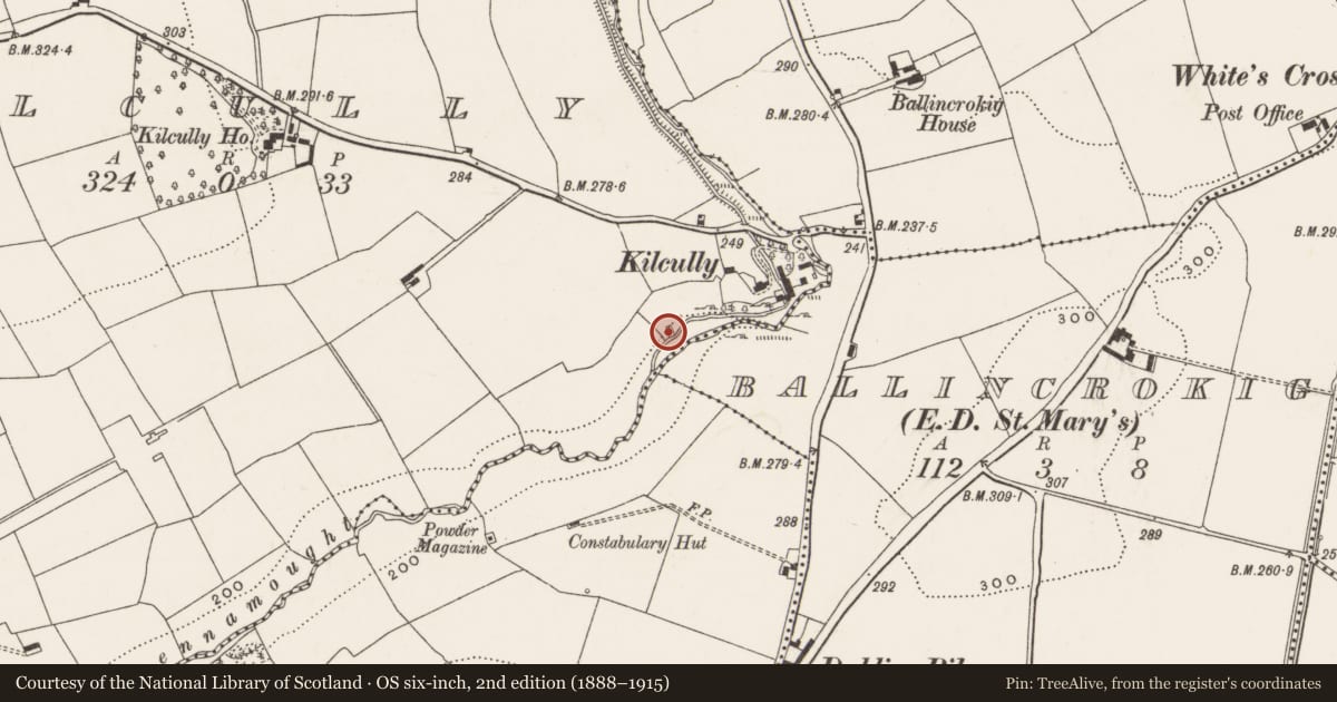 Ordnance Survey six-inch map, 2nd edition (1888–1915) covering the location of Mill - corn, Kilcully, County Cork, with a pin at the register's coordinates