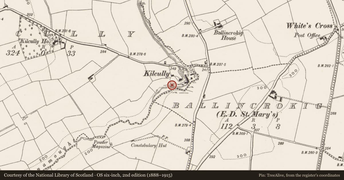 Ordnance Survey six-inch map, 2nd edition (1888–1915) covering the location of Mill - unclassified, Kilcully, County Cork, with a pin at the register's coordinates