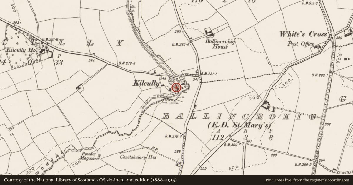 Ordnance Survey six-inch map, 2nd edition (1888–1915) covering the location of Mill - unclassified, Kilcully, County Cork, with a pin at the register's coordinates