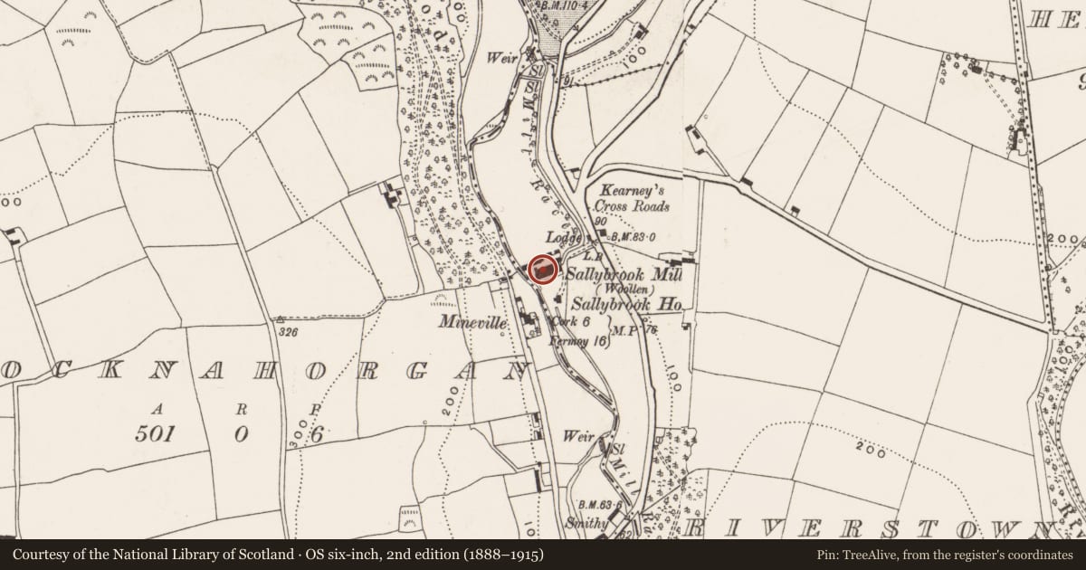 Ordnance Survey six-inch map, 2nd edition (1888–1915) covering the location of Mill - paper, Riverstown, County Cork, with a pin at the register's coordinates