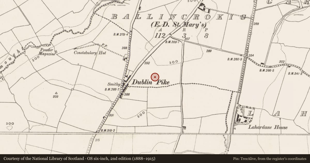 Ordnance Survey six-inch map, 2nd edition (1888–1915) covering the location of Standing stone, Ballincrokig (Cork By., St. Anne’s Shandon Par.), County Cork, with a pin at the register's coordinates