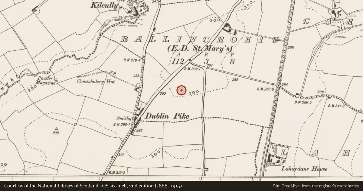 Ordnance Survey six-inch map, 2nd edition (1888–1915) covering the location of Standing stone, Ballincrokig (Cork By., St. Anne’s Shandon Par.), County Cork, with a pin at the register's coordinates