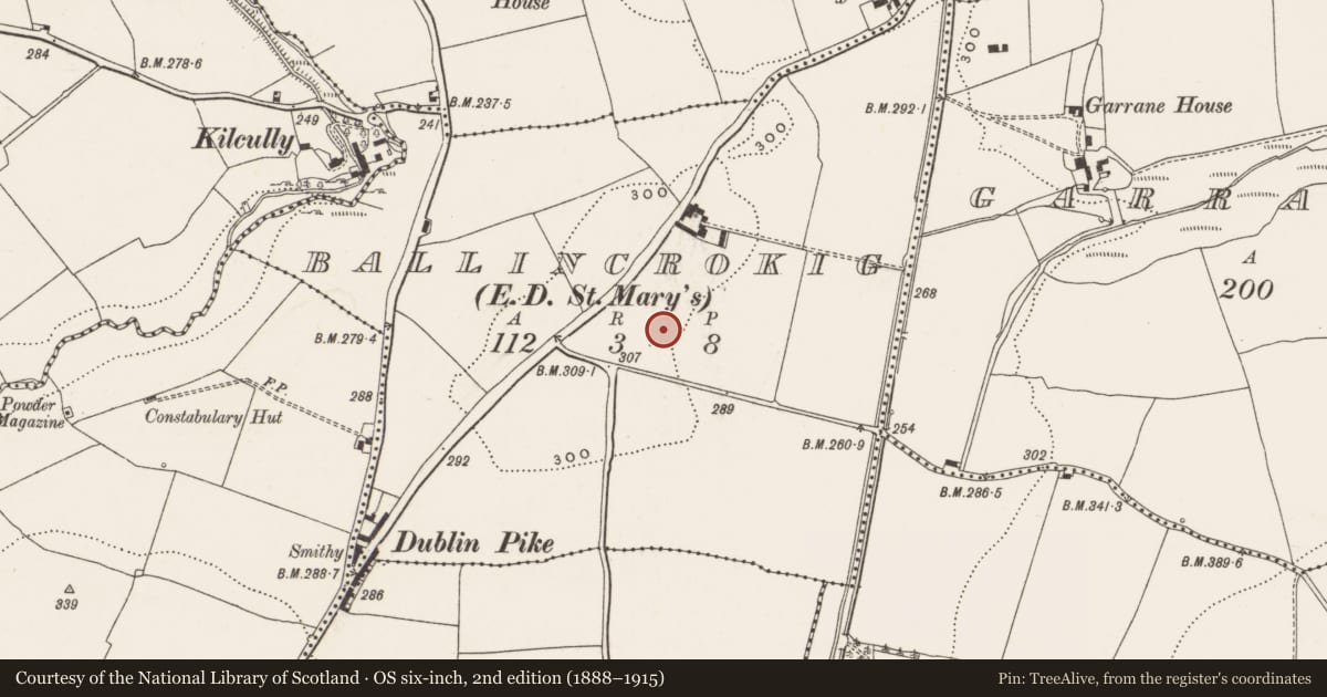 Ordnance Survey six-inch map, 2nd edition (1888–1915) covering the location of Standing stone, Ballincrokig (Cork By., St. Anne’s Shandon Par.), County Cork, with a pin at the register's coordinates