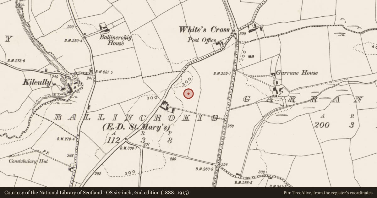 Ordnance Survey six-inch map, 2nd edition (1888–1915) covering the location of Standing stone, Ballincrokig (Cork By., St. Anne’s Shandon Par.), County Cork, with a pin at the register's coordinates