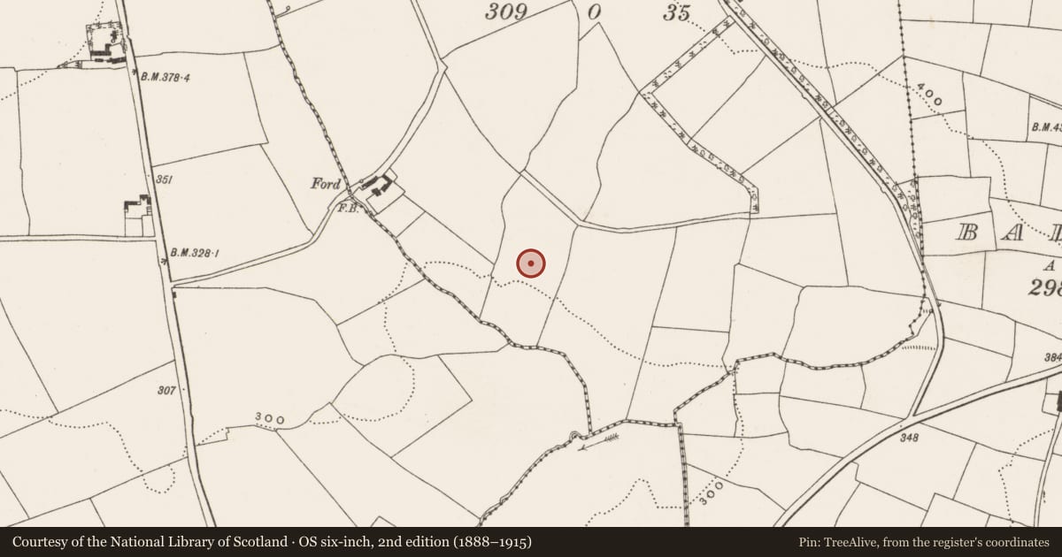 Ordnance Survey six-inch map, 2nd edition (1888–1915) covering the location of Standing stone, Piercetown, County Cork, with a pin at the register's coordinates