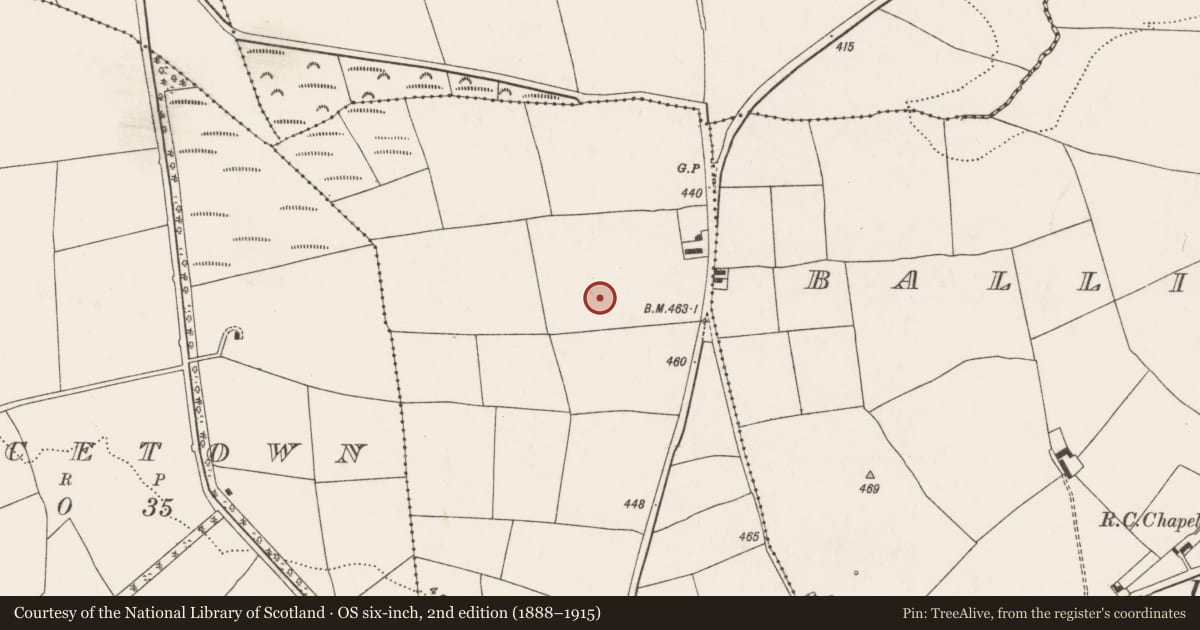 Ordnance Survey six-inch map, 2nd edition (1888–1915) covering the location of Ringfort - rath, Ballynoe, County Cork, with a pin at the register's coordinates
